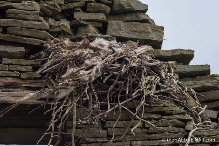 Raven's Nest - The Hall of Einar - photograph (c) David Bailey (not the)