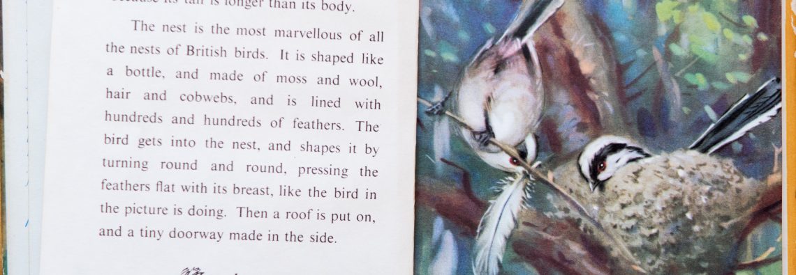 The Long-Tailed Tit - Ladybird Book of British Birds - The Hall of Einar