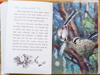 The Long-Tailed Tit - Ladybird Book of British Birds - The Hall of Einar