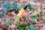 Dog Stinkhorn - The Hall of Einar - photograph (c) David Bailey (not the)