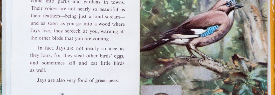 Ladybird Book of British Birds - The Hall of Einar