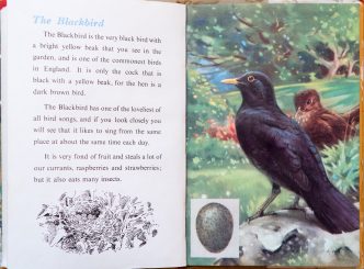 Ladybird Book of British Birds - The Hall of Einar