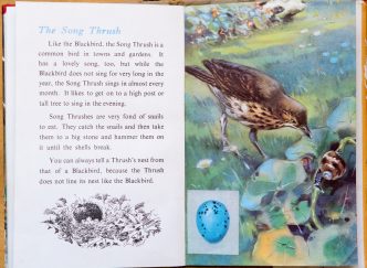 Ladybird Book of British Birds - The Hall of Einar