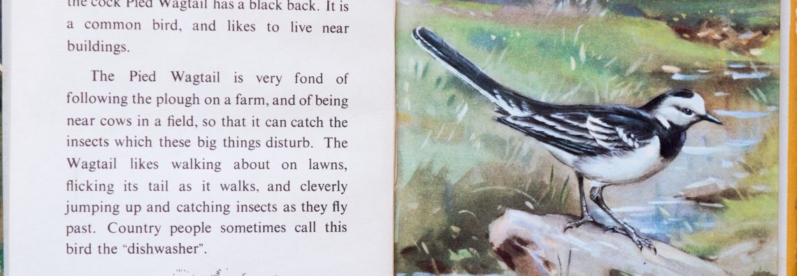 Ladybird Book of British Birds - The Hall of Einar