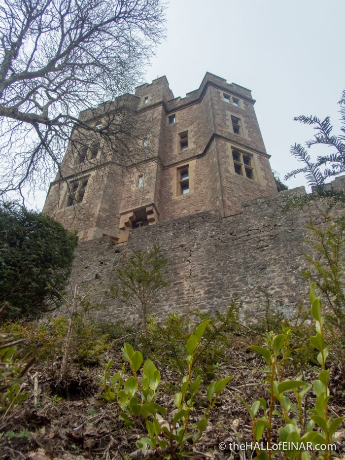 Dunster Castle - the Hall of Einar - photograph (c) David Bailey (not the)