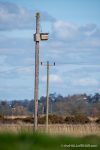 Kestrel nest box - The Hall of Einar - photograph (c) David Bailey (not the)