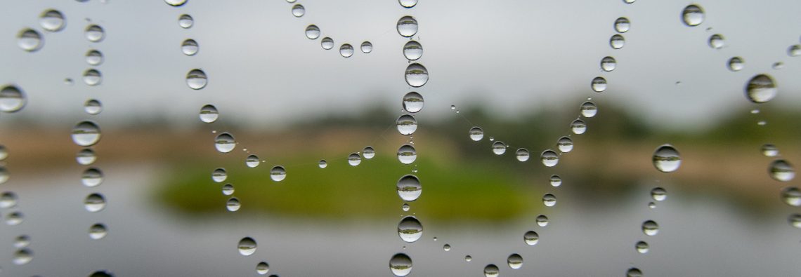 A necklace of raindrops - The Hall of Einar