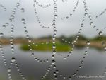 A necklace of raindrops - The Hall of Einar