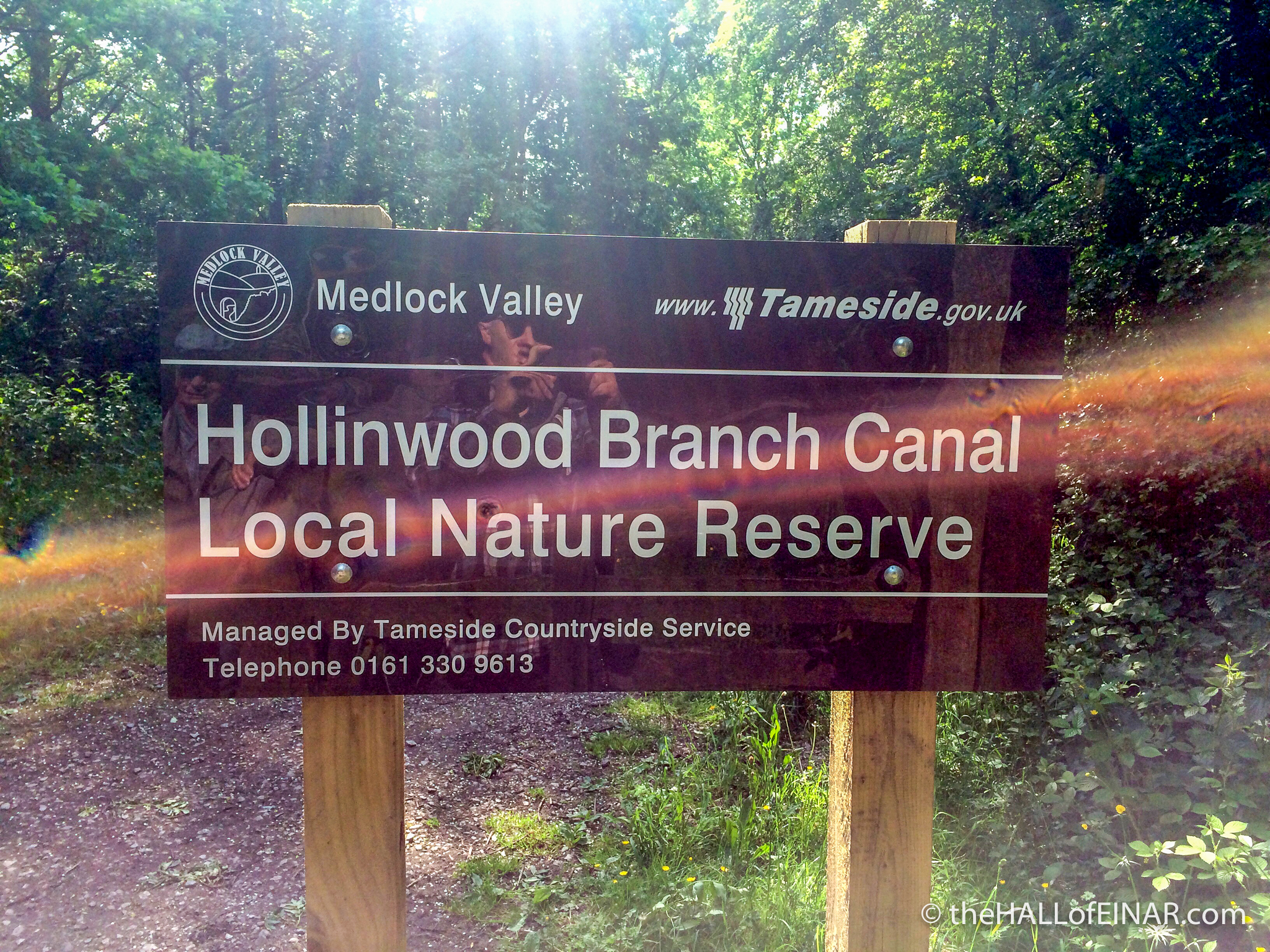 Hollinwood Branch Canal - Local Nature Reserve - The Hall of Einar - photograph (c) David Bailey (not the)