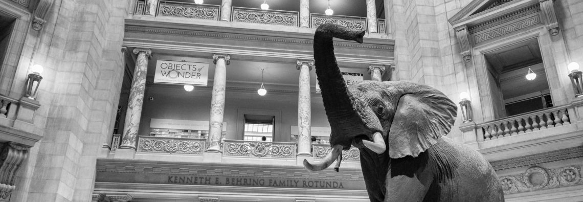 Smithsonian National Museum of Natural History - The Hall of Einar - photograph (c) David Bailey (not the)