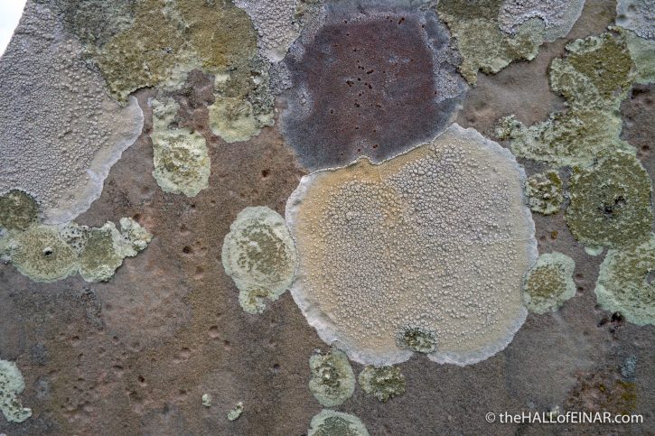 Gravestone - The Hall of Einar - photograph (c) David Bailey (not the)