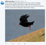 RSPB South Wet on Twitter