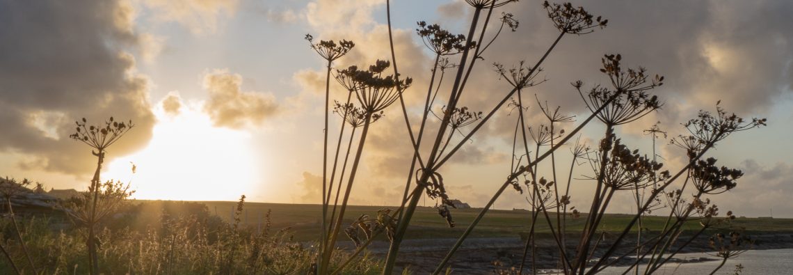 Westray Coast 50 - The Hall of Einar - photograph (c) David Bailey (not the)