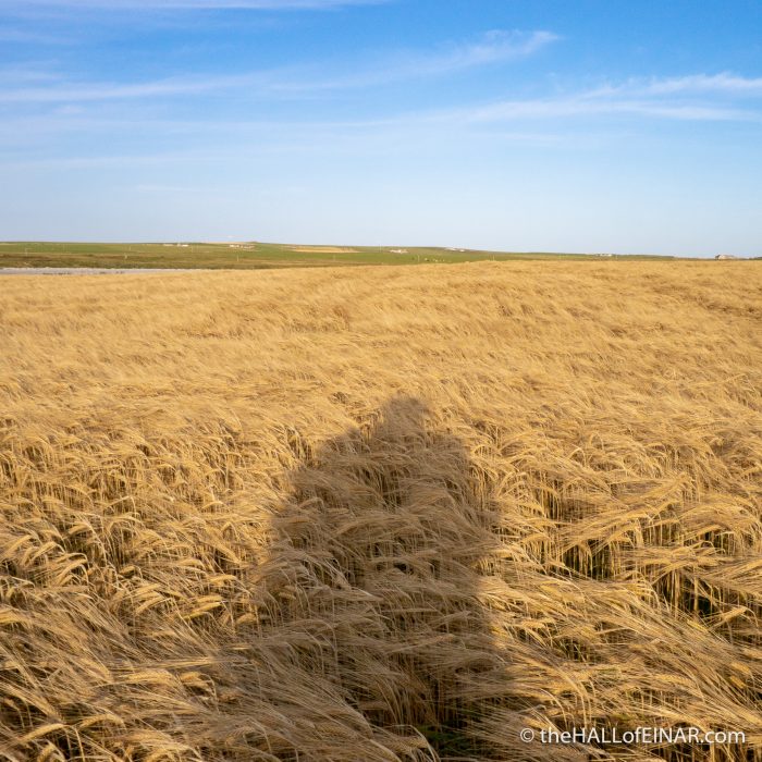 Westray Coast 50 - The Hall of Einar - photograph (c) David Bailey (not the)