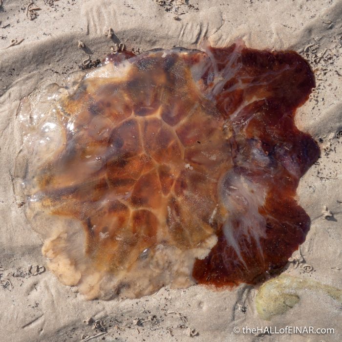 Westray Coast 50 - The Hall of Einar - photograph (c) David Bailey (not the)