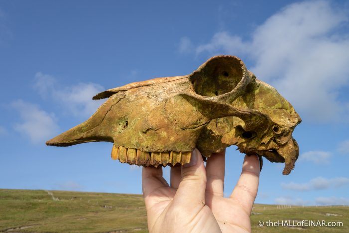 Westray Coast - The Hall of Einar - photograph (c) David Bailey (not the)