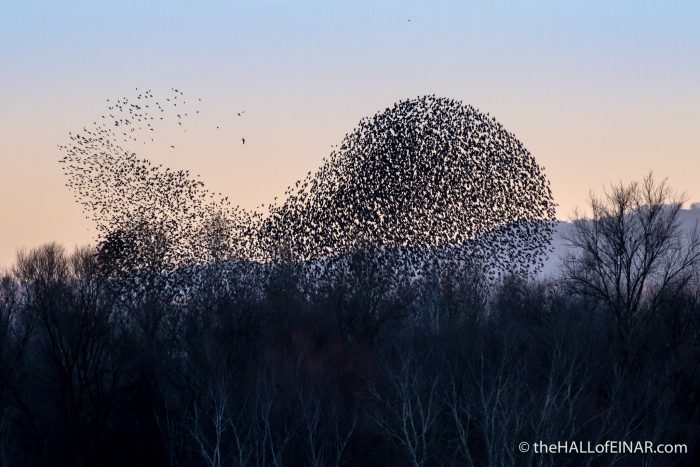 Lago di Alviano - The Hall of Einar - photograph (c) David Bailey (not the)