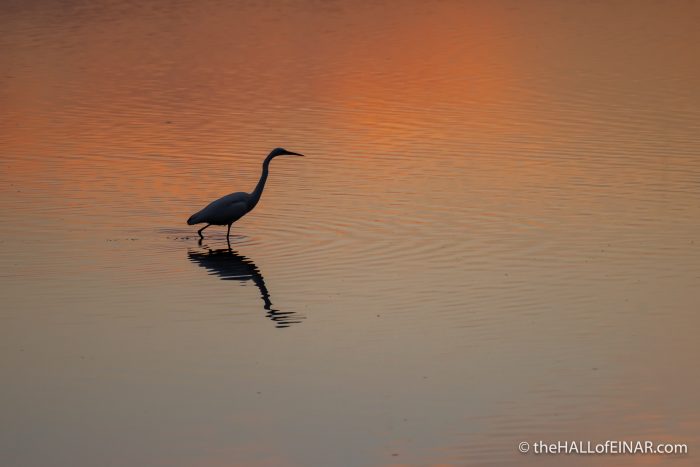 Lago di Alviano - The Hall of Einar - photograph (c) David Bailey (not the)