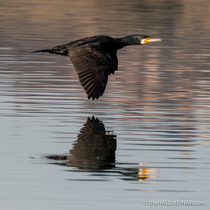Lago di Chiusi - The Hall of Einar - photograph (c) David Bailey (not the)