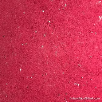 Woodlice on the carpet - The Hall of Einar - photograph (c) David Bailey (not the)