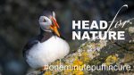 The One Minute Puffin Cure