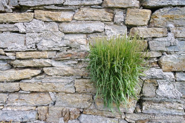Rack Wick Mill - The Hall of Einar - photograph (c) David Bailey (not the)