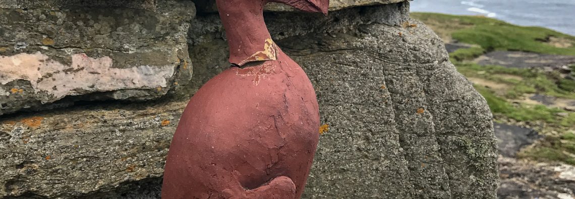 Great Auk - The Hall of Einar - photograph (c) David Bailey (not the)