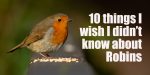 10 things I wish I didn't know about Robins