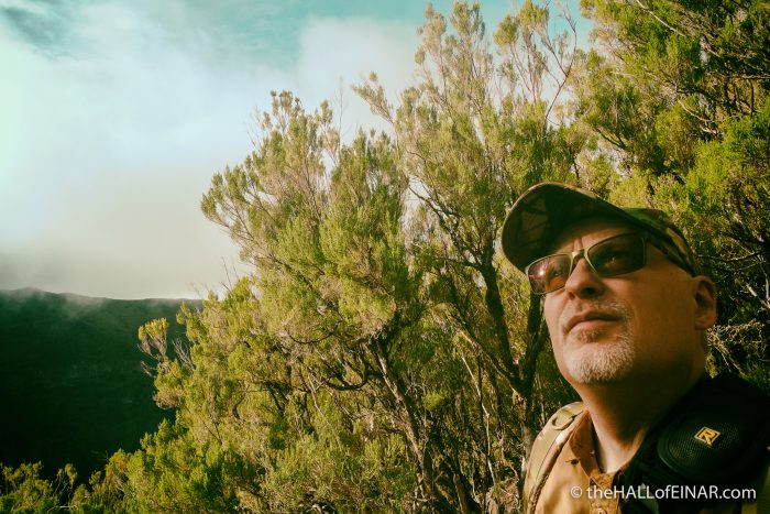 Madeira - The Hall of Einar - photograph (c) David Bailey (not the)