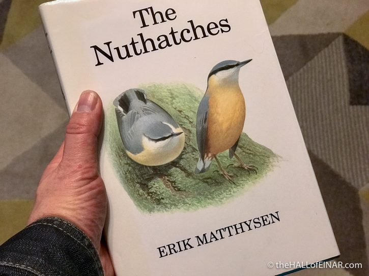 The Nuthatches - Erik Matthysen - The Hall of Einar