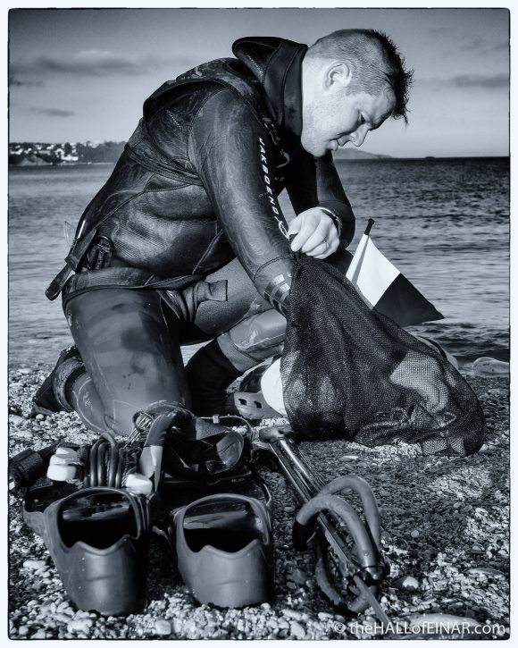 Diver - Brixham - The Hall of Einar - photograph (c) David Bailey (not the)