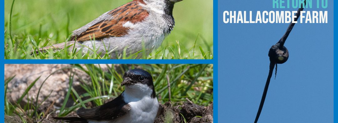 Return to Challacombe Farm