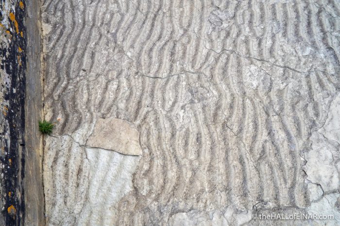 Fossilised ripples - The Hall of Einar - photograph (c) David Bailey (not the)