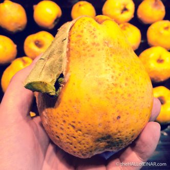 Quince - The Hall of Einar - photograph (c) David Bailey (not the)