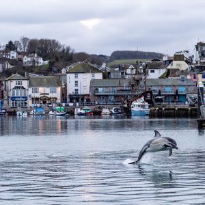 Christmas Dolphin Brixham Harbour - The Hall of Einar - photograph (c) David Bailey (not the)