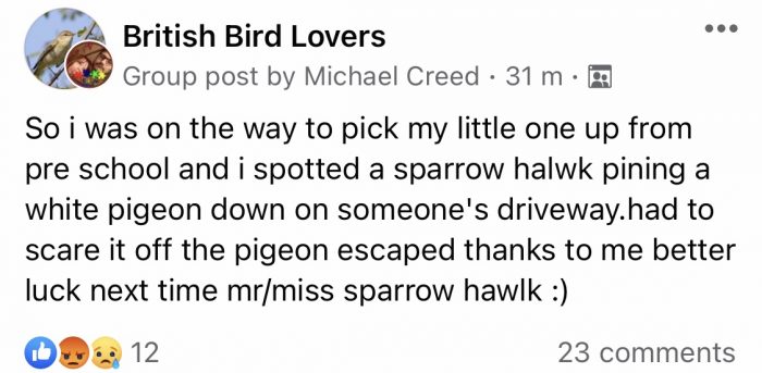 Sparrowhawk comments