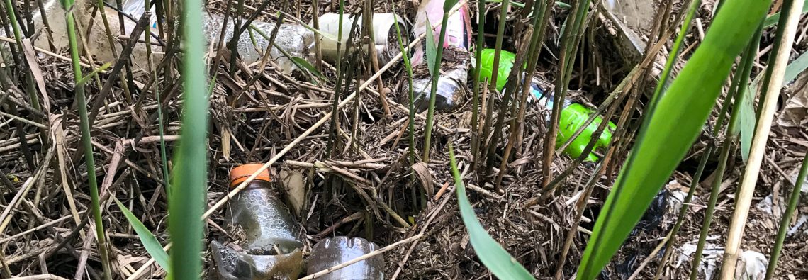 Plastic Waste - The Hall of Einar - photograph (c) David Bailey (not the)