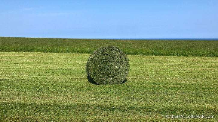 Round bale - The Hall of Einar - photograph (c) David Bailey (not the)