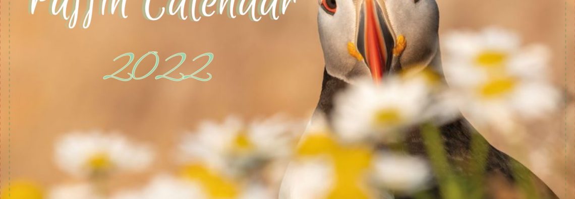 Puffin Calendar 2022 - Antonella Papa