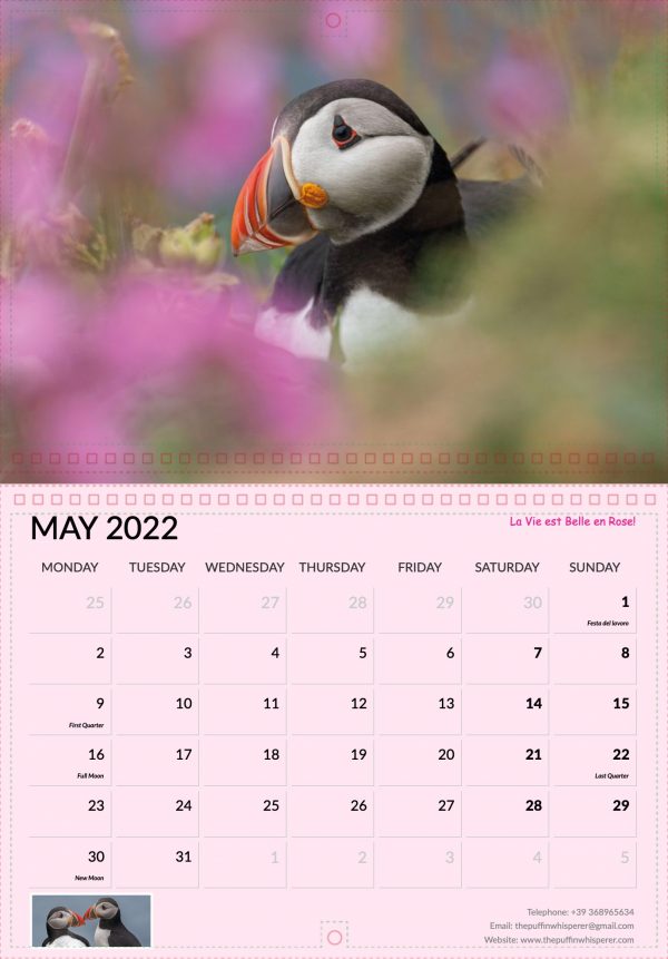 Puffin Calendar 2022 - Antonella Papa