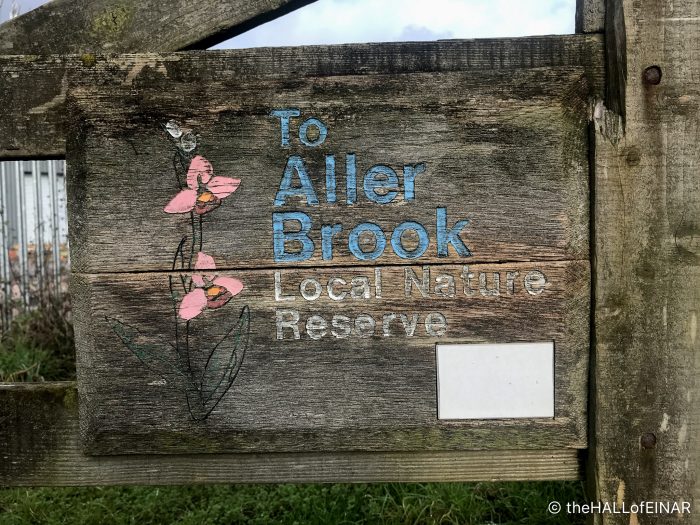 Aller Brook - The Hall of Einar - photograph (c) David Bailey (not the)