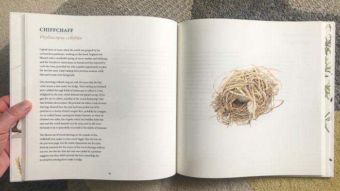 Nests - Sunday Recommendation