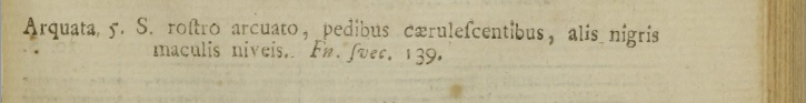 Scolopax arquata - The Curlew - Systema Naturae - Carl Linnaeus