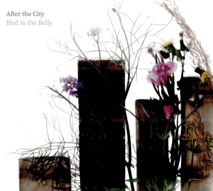 After the City by Bird in the Belly
