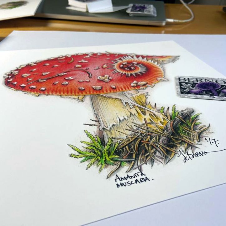 Fibonacci Fly Agaric | Limited, Signed, Numbered Print (c) Jo Brown