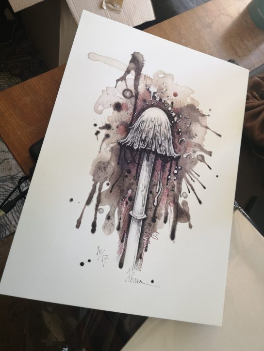 Shaggy Inkcap Print - copyright Jo Brown - https://bernoid.com