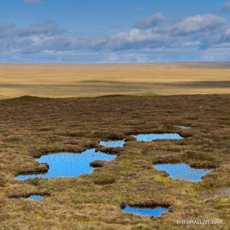 The Flow Country - The Hall of Einar - photograph (c) David Bailey (not the)