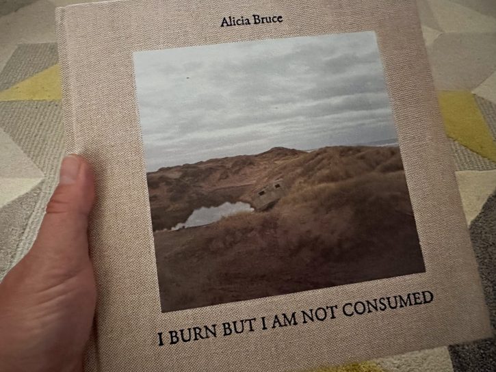 Sunday Recommendation - I Burn But I Am Not Consumed by Alicia Bruce