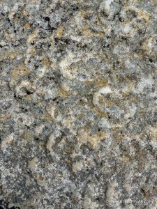 Fossil worm casts - The Hall of Einar - photograph (c) David Bailey (not the)
