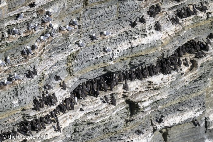 Noup Head - The Hall of Einar - photograph © David Bailey (not the)